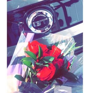 Meet your Posher, Yesenia